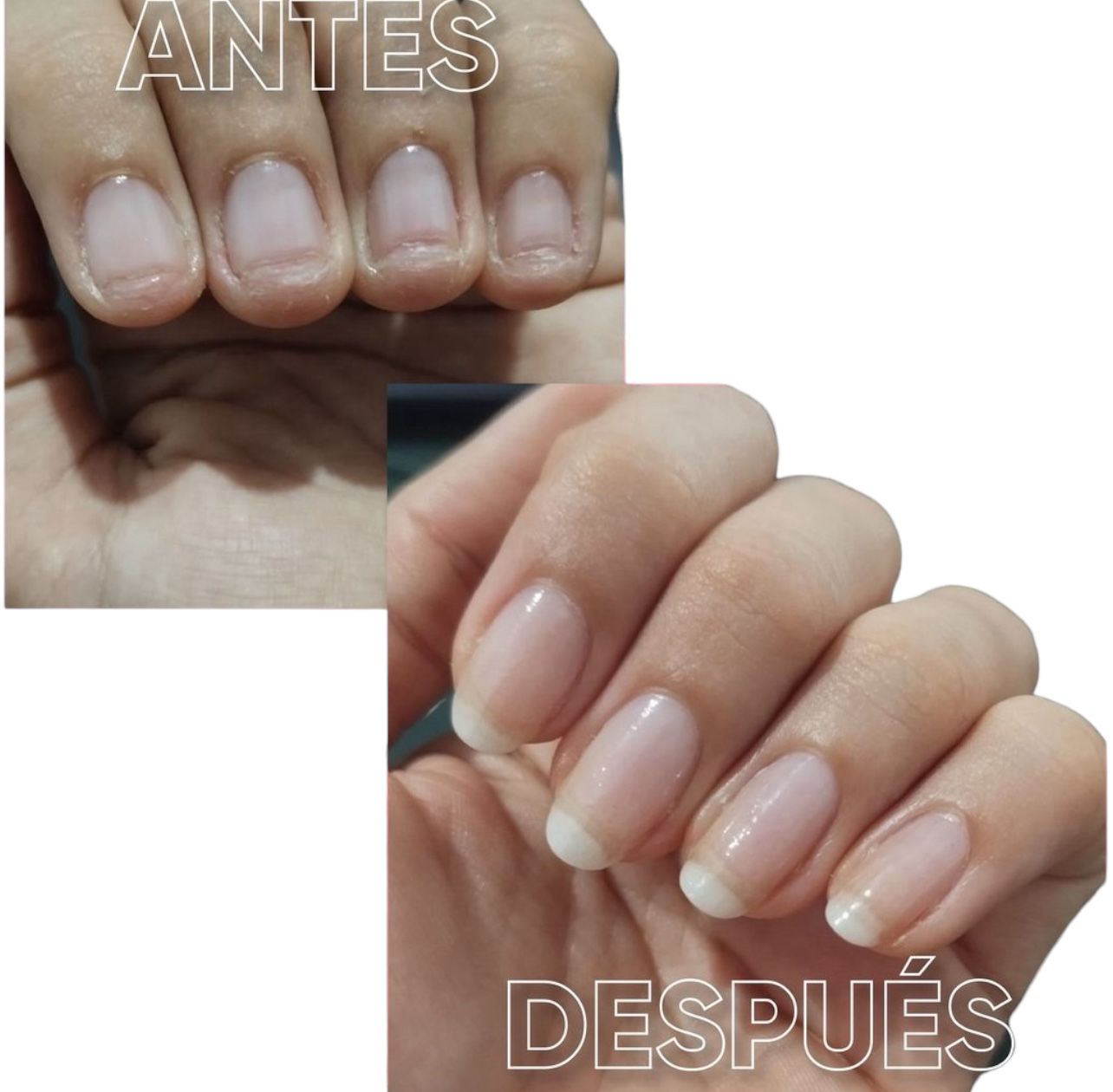 NUTRI UÑAS